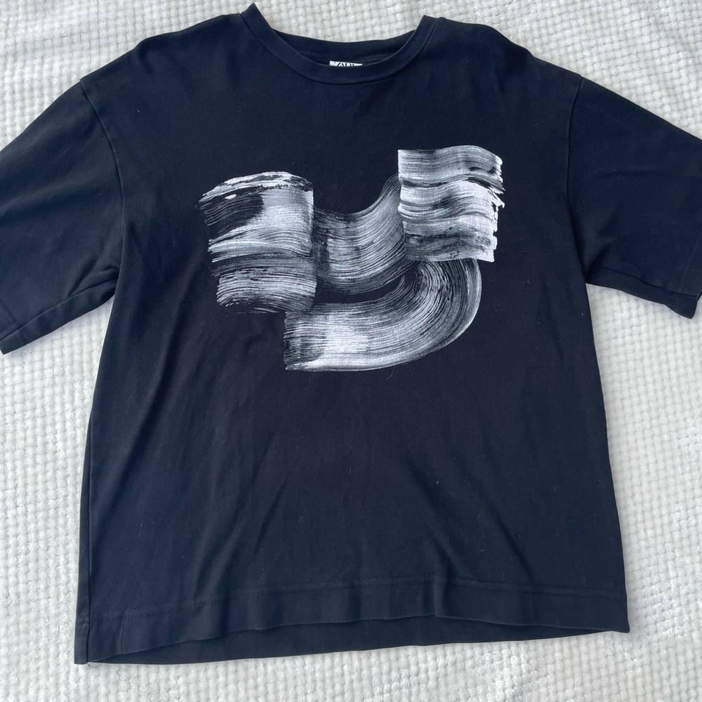 Zara Mens Top